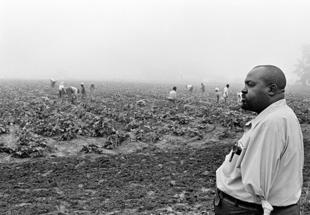 Large man standing in front of field with workers in distance
